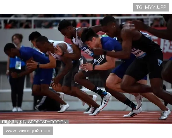 中国体育联赛布图（中国体育联赛排名）sports